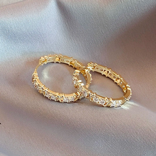 "2025 Korean Fashion Simple Zircon Metal Hoop Earrings"